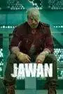 Jawan (2023) Hindi