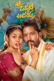 Aa Okkati Adakku (2024) HQ Hindi Dubbed