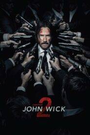 John Wick: Chapter 2 (2017) Hindi Dubbed