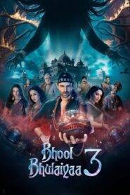 Bhool Bhulaiyaa 3 (2024) Hindi HD Netflix