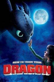 How to Train Your Dragon (2010) Hindi Dubbed